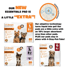 WizSmart Essentials Pads