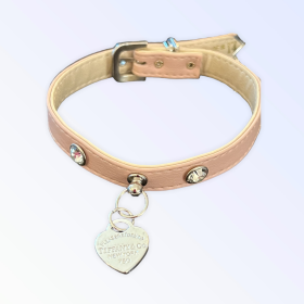 Pretty in Pink and Sniffany Collar (size: 18")