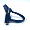 Neptune One-click dog harness