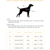 Neptune One-click dog harness