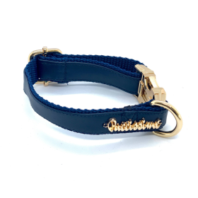 Neptune collar (size: M-collar)