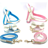 My baby boy One-click dog harness