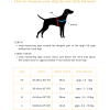 La Parisienne One-click dog harness