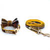 Medallion Collar, Leash & Bow tie set