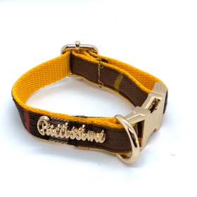 Medallion Dog Collar (size: S-collar)