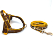 Medallion One-click Dog Harness