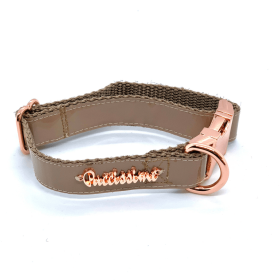 Champagne Dog Collar (size: S-collar)