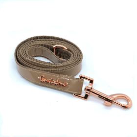 Champagne Dog Leash (size: Full set - XS)