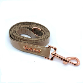 Champagne Dog Leash (size: Full set - S)