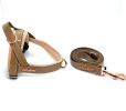 Champagne One-click Dog Harness