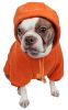 Fashion Plush Cotton Pet Hoodie Hooded Sweater